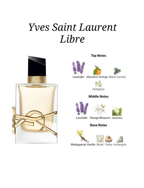 libre ysl notes